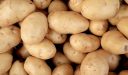 البطاطا … الفوائد الصحية العجيبة التي تملكها البطاطا