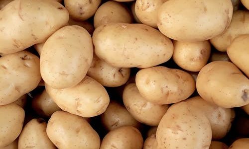 البطاطا … الفوائد الصحية العجيبة التي تملكها البطاطا